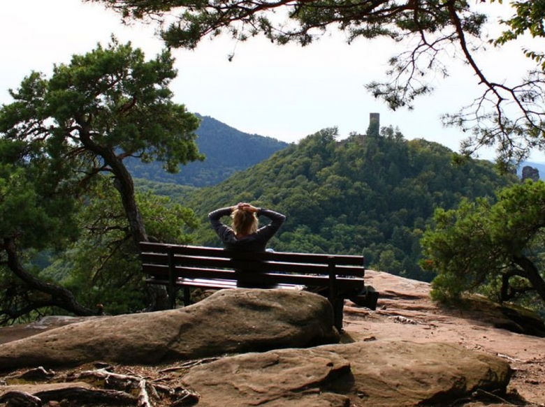 Die Pfalz und das Ferienhaus Sonneneckchen