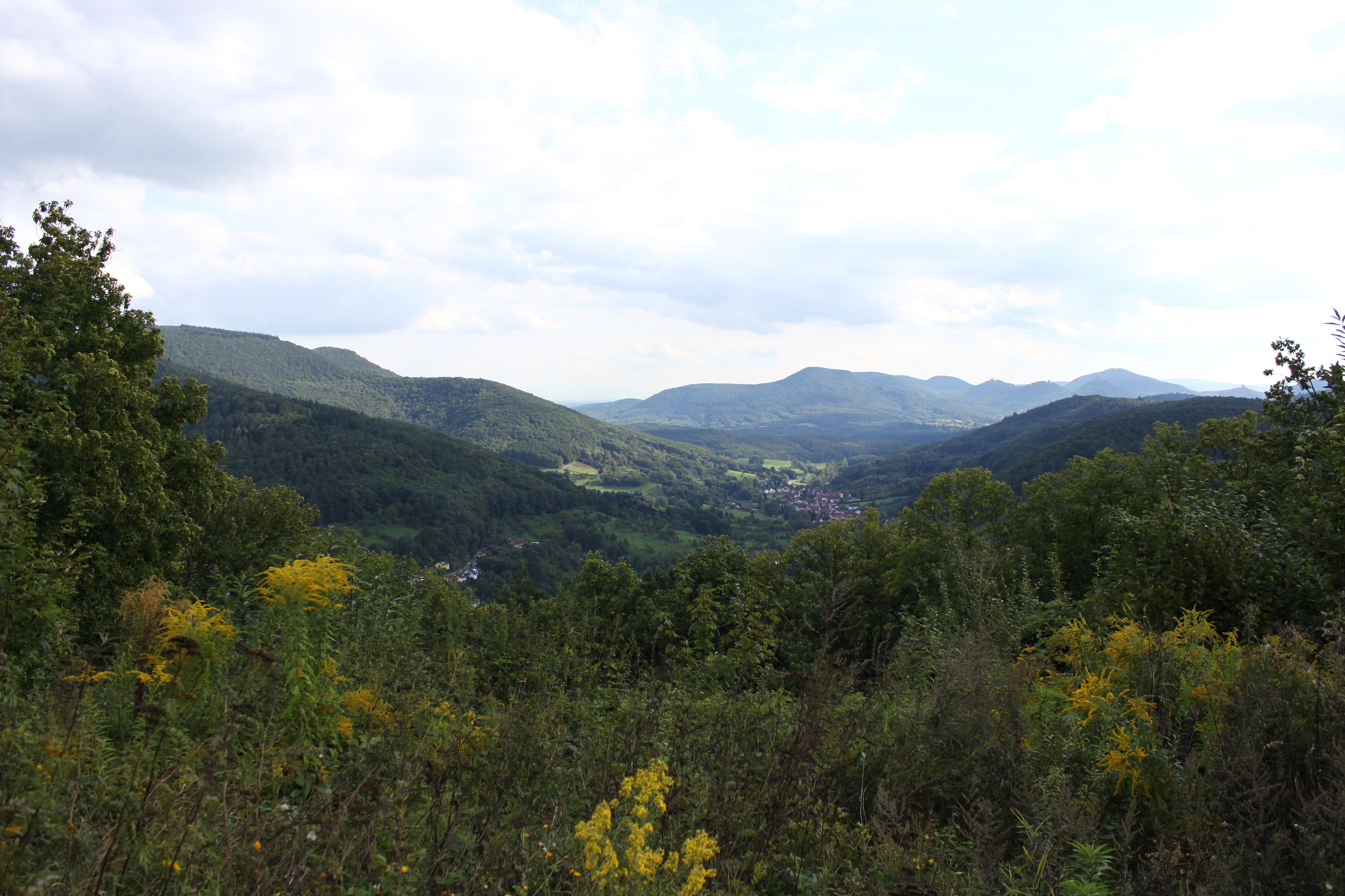 Südpfalz Ausblick auf Tal