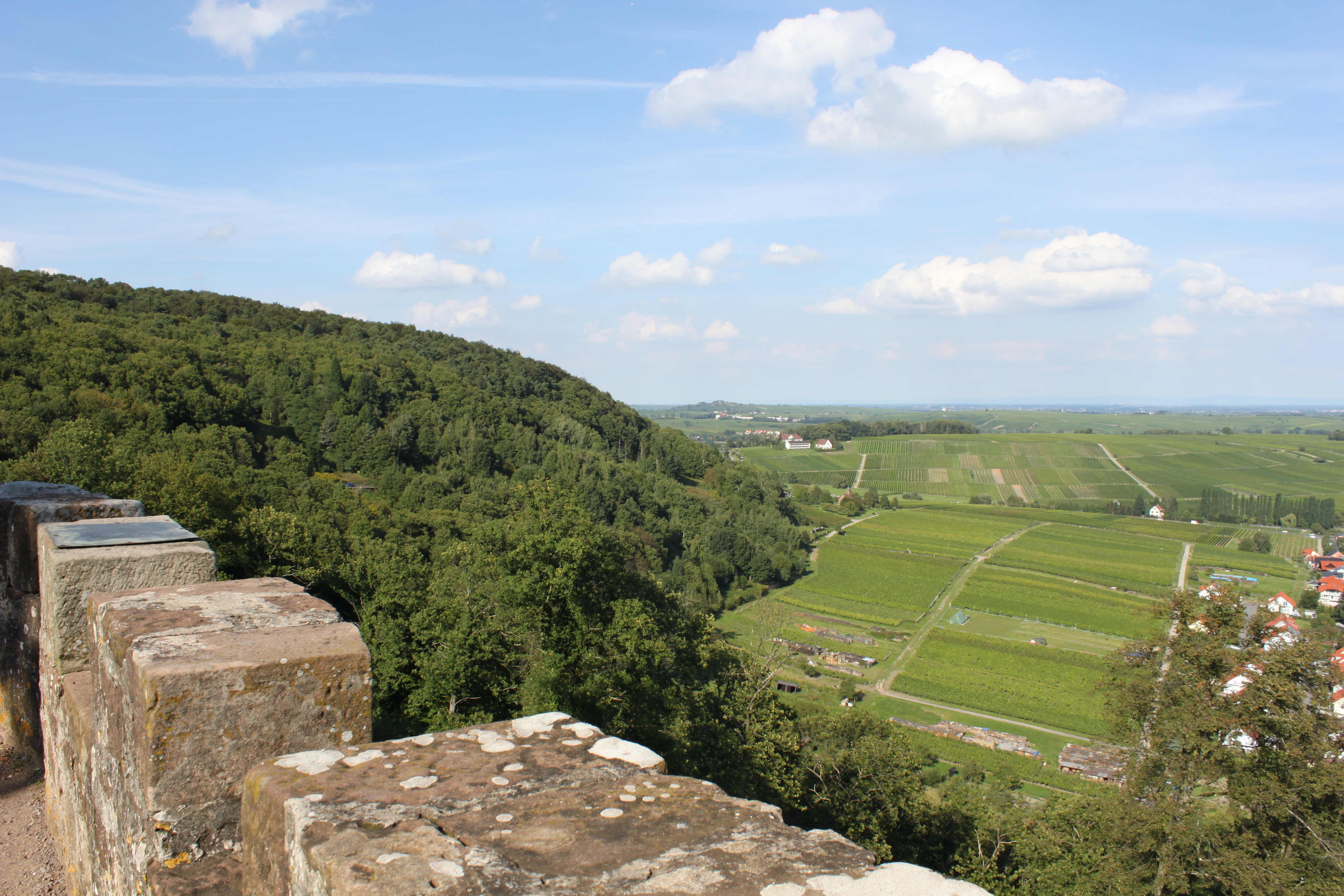 Blick von der Burg Landeck auf Klingenmünster