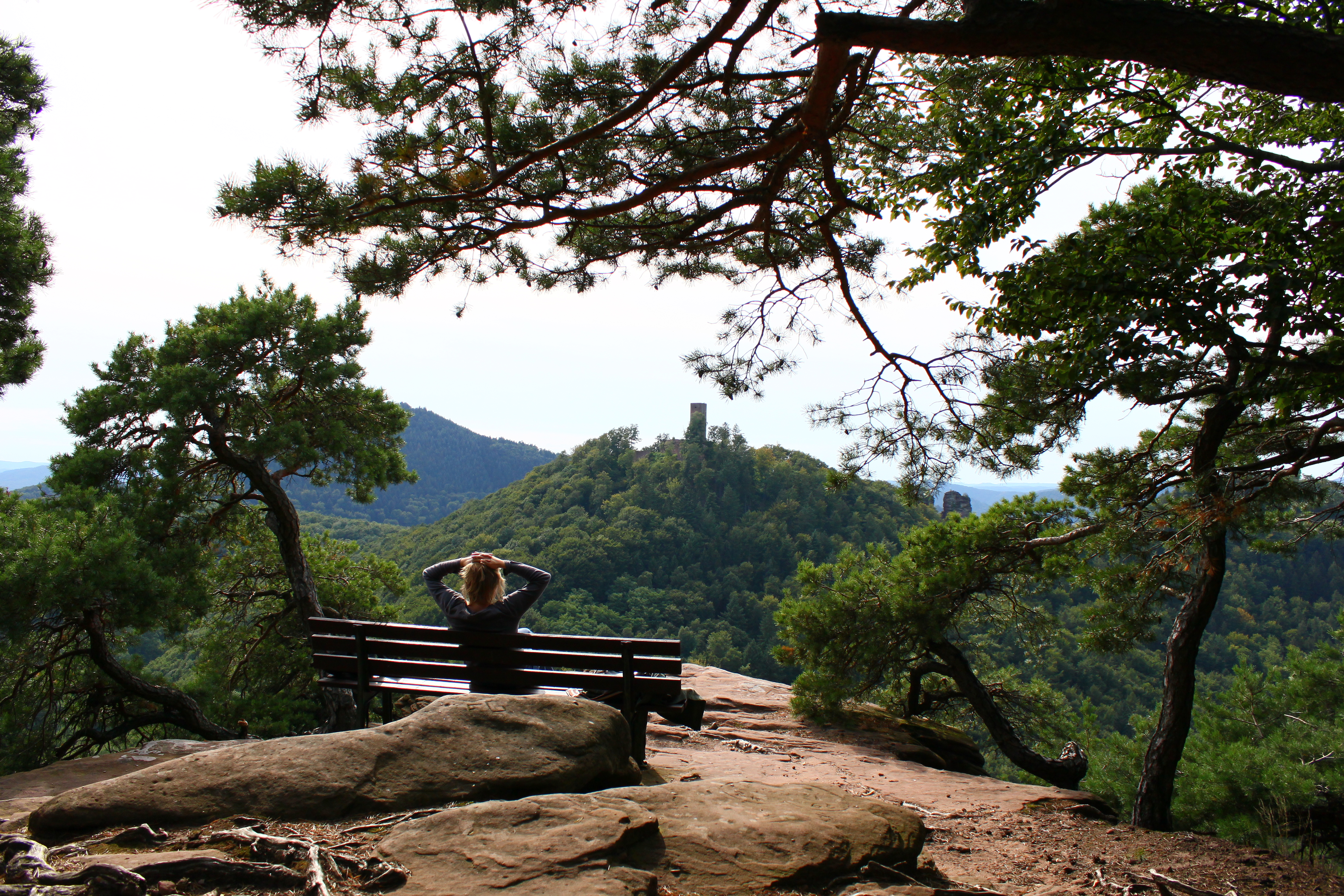Blick auf Burg Münz über Leinsweiler