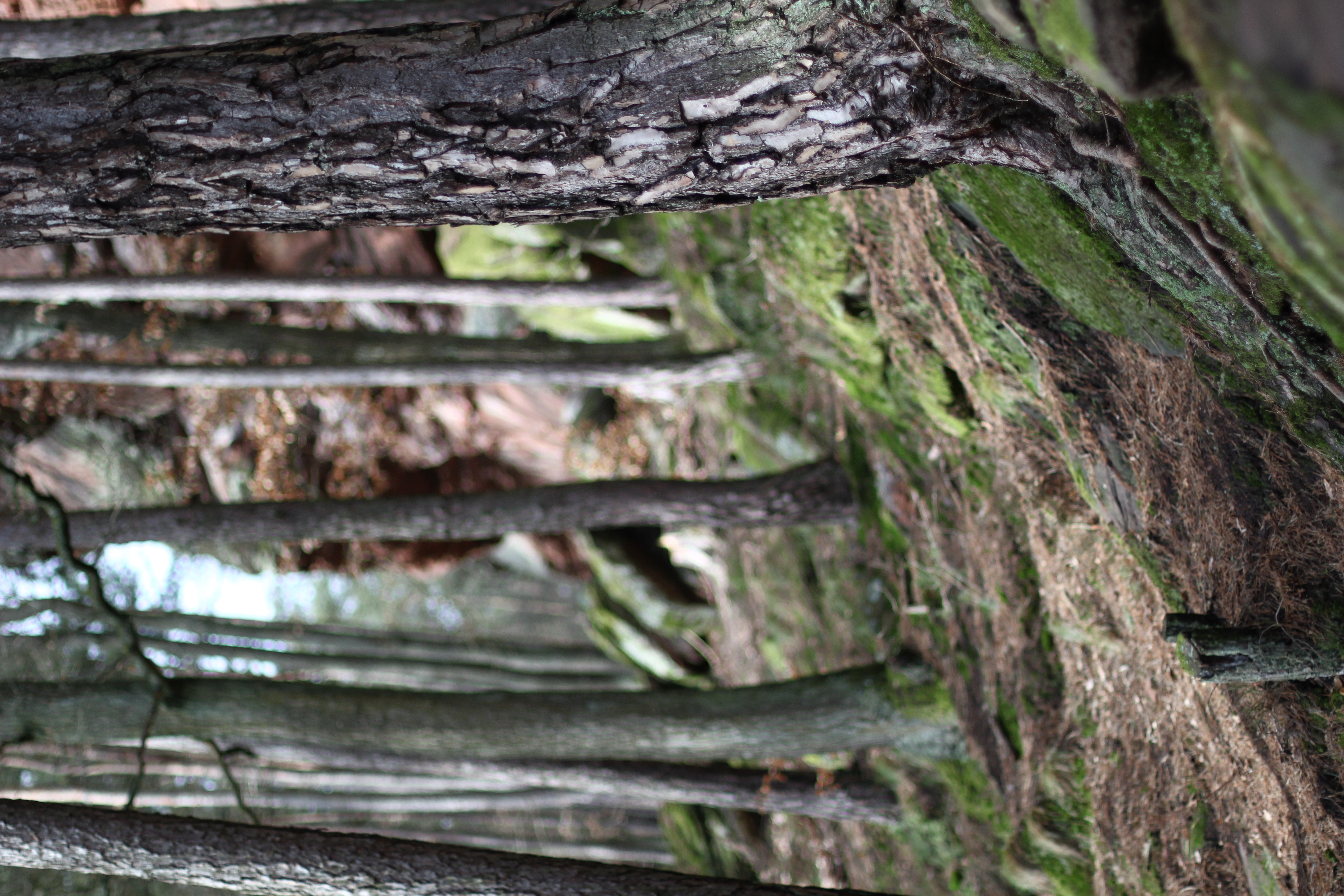 Hinter dem Haus geht der Wanderweg los
